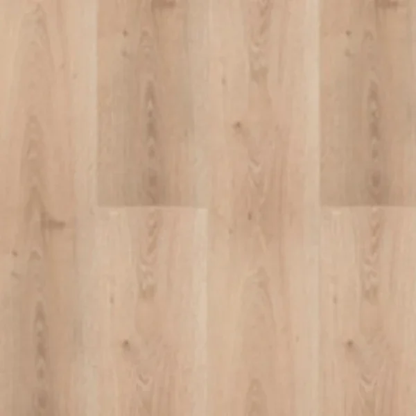 King Floor L Pavimenti Vinilici SPC R&G Distribution